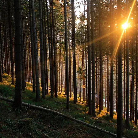 Horsky Kristina Отель