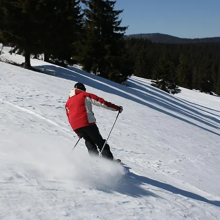 Horsky Kristina Отель Hrustin