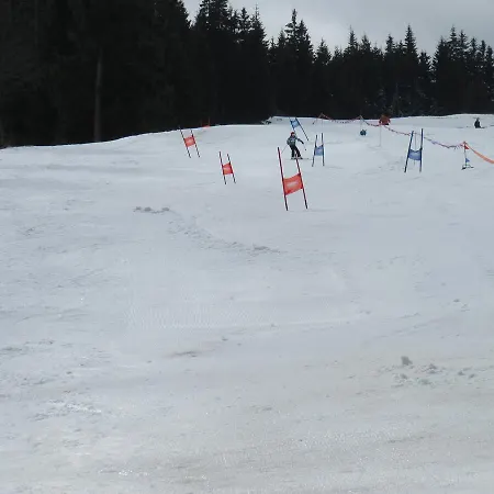 Horsky Kristina Отель Hrustin